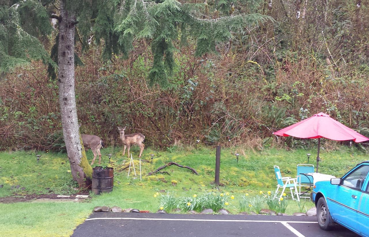 Shiny Motel Hoquiam ภายนอก รูปภาพ